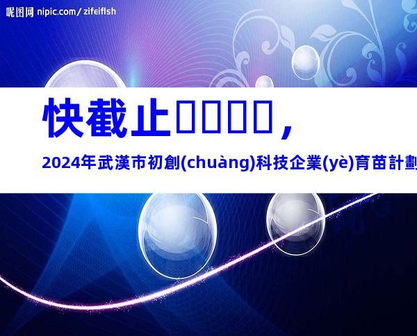 快截止，2024年武漢市初創(chuàng)科技企業(yè)育苗計劃申報條件、相關(guān)內(nèi)容